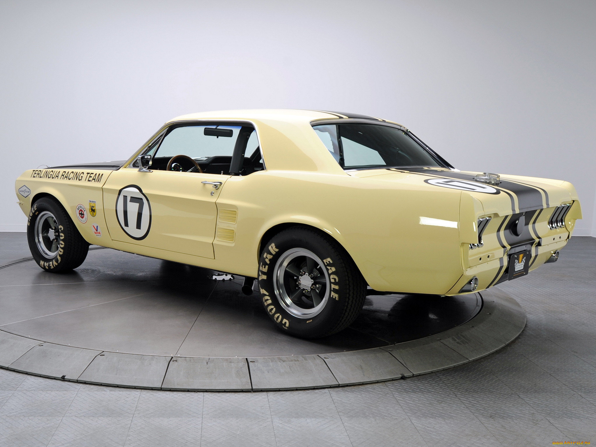 , mustang